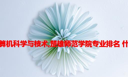 楚雄师范计算机科学与枝术,楚雄师范学院专业排名 什么专业最好